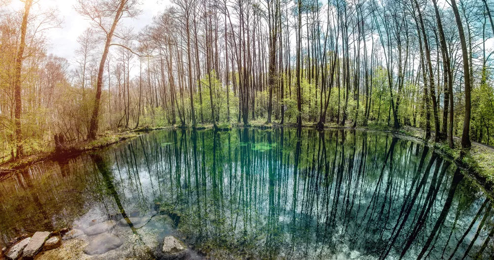 Rezerwat "Niebieskie Źródła" w wiosennej scenerii