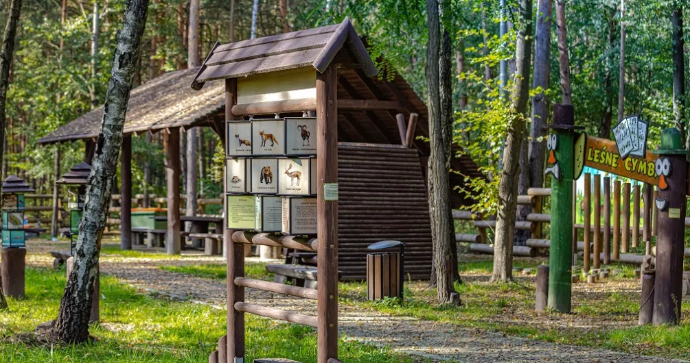 Park edukacyjno-rekreacyjny - „edukacja leśna” w Treście