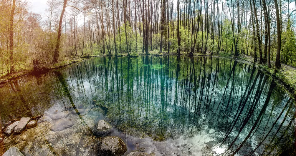 Zdjęcie przedstawia Rezerwat Niebieskie Źródła wiosenną porą roku