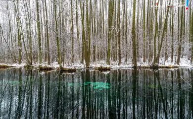 Zdjęcie przedstawia Rezerwat Niebieskie Źródła zimową porą roku