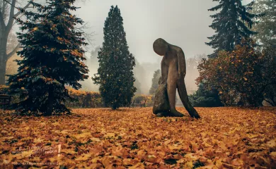 Park Miejski Solidarność