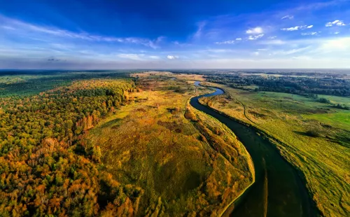 Pilica i jej zakola